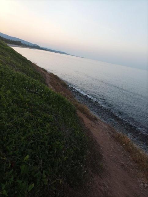 Villa Climatisee A Nuciola Prunete Entre Mer, Montagne Et Piscine Червионе Экстерьер фото